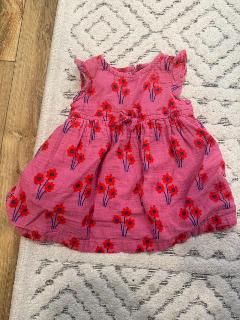 Hanna Andersson Pink Dress with Red Floral Print